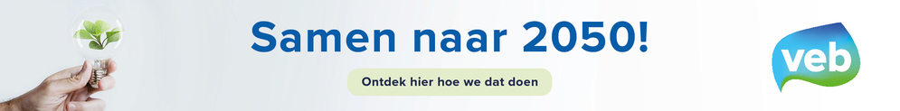 Webbanner met de tekst 'Samen naar 2050!' en een logo van VEB. Links een hand die een gloeilamp vasthoudt met een groen plantje erin. Onder de tekst staat een knop met de tekst 'Ontdek hier hoe we dat doen'