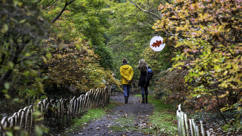 Bezoekers tijdens de Herfstspeurtocht in het arboretum van Kalmthout