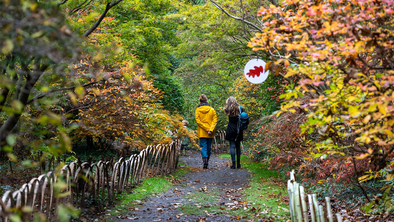 Bezoekers tijdens de Herfstspeurtocht in het arboretum van Kalmthout