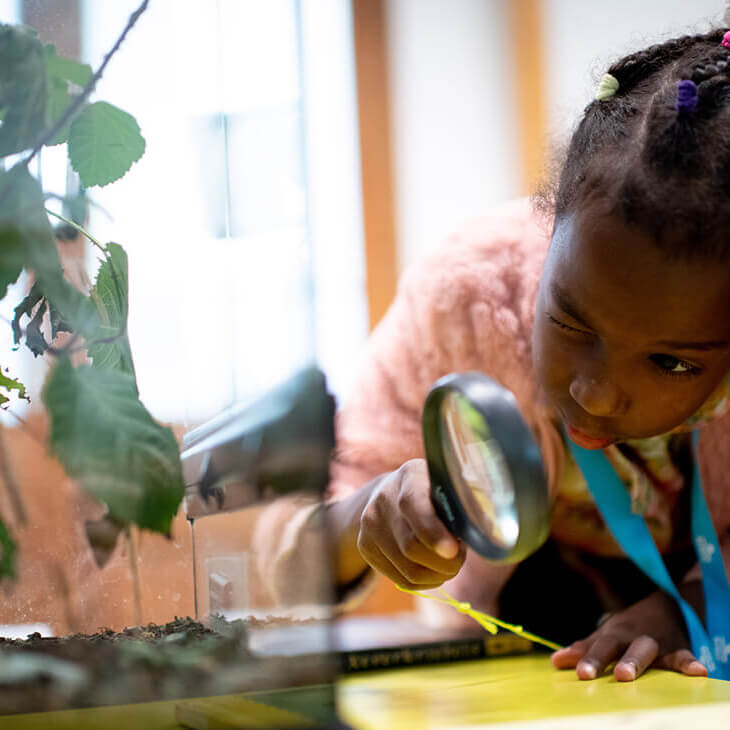 Leerling onderzoekt plant met vergrootglas tijdens klasbezoek aan De wereld van Kina: de Tuin