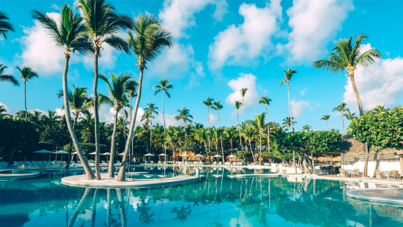 zwembad met palmbomen