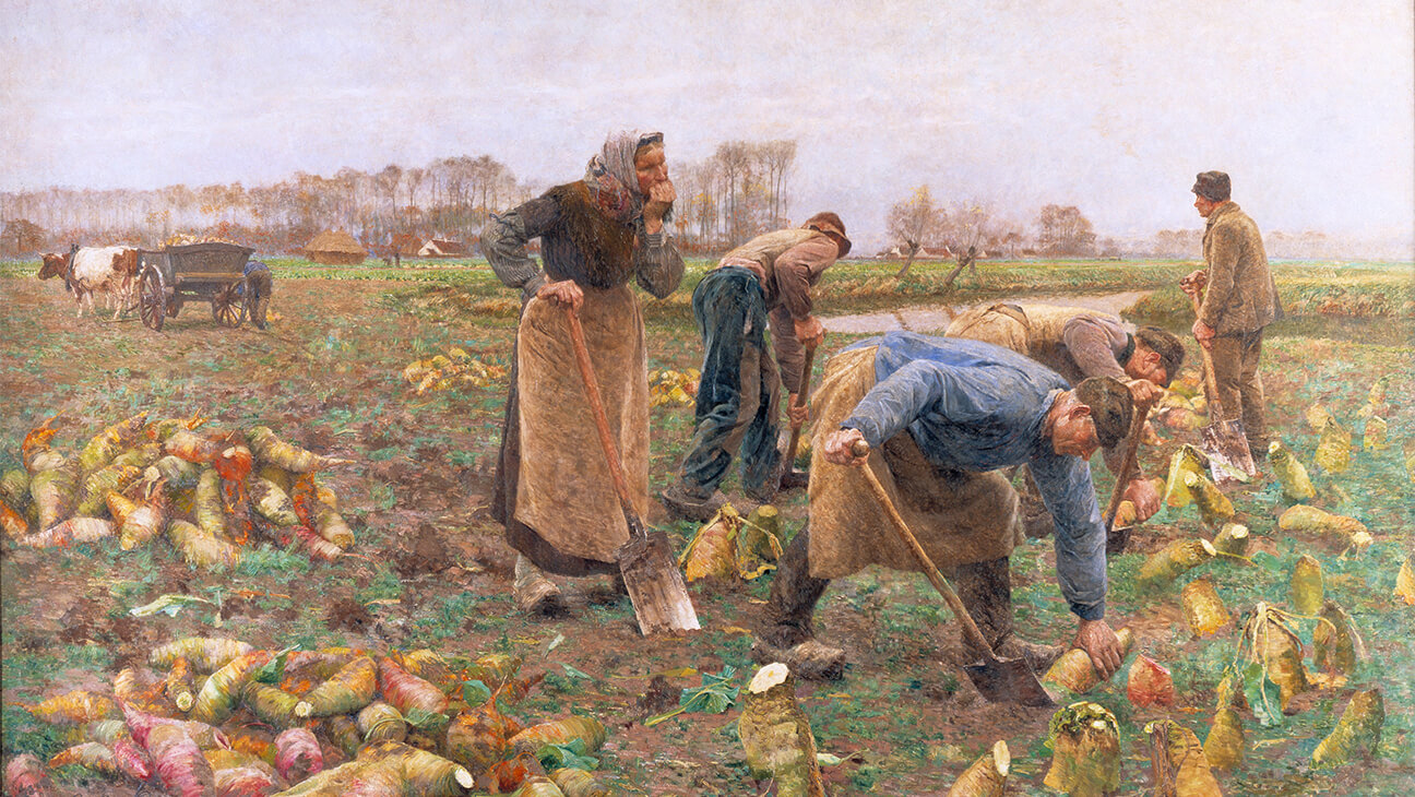 Werk van Emile Claus:  "bietenoogst"