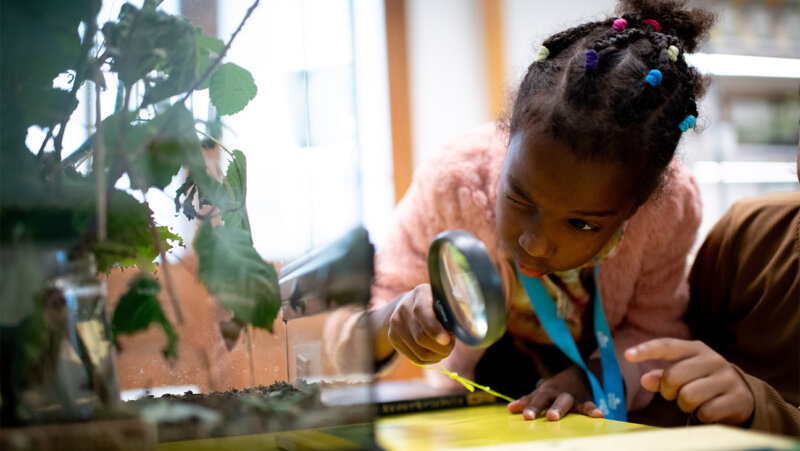 Kind met een vergrootglas kijkt naar een wandelende tak, klasuitstap naar de wereld van Kina de Tuin