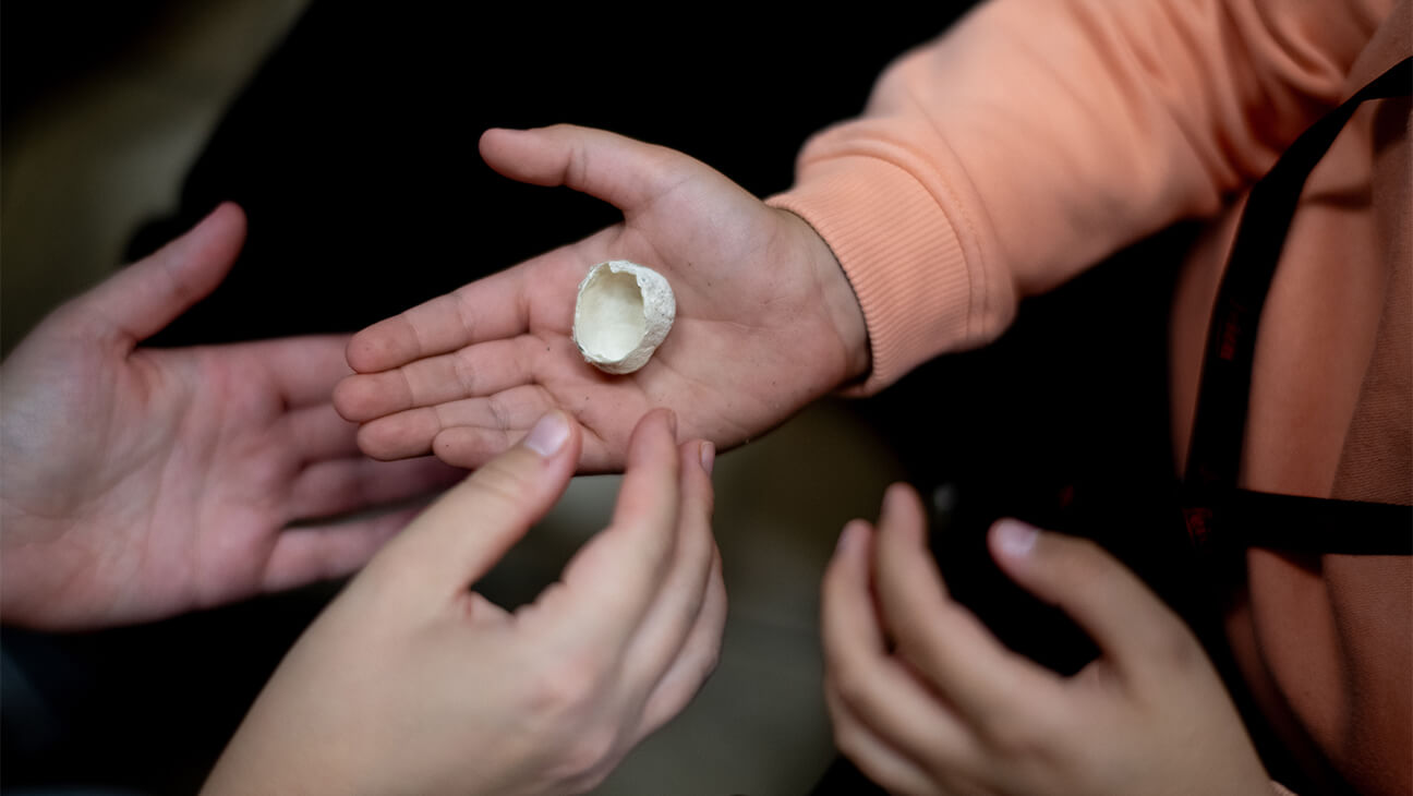 Hand met een coconnetje van een spin in haar hand