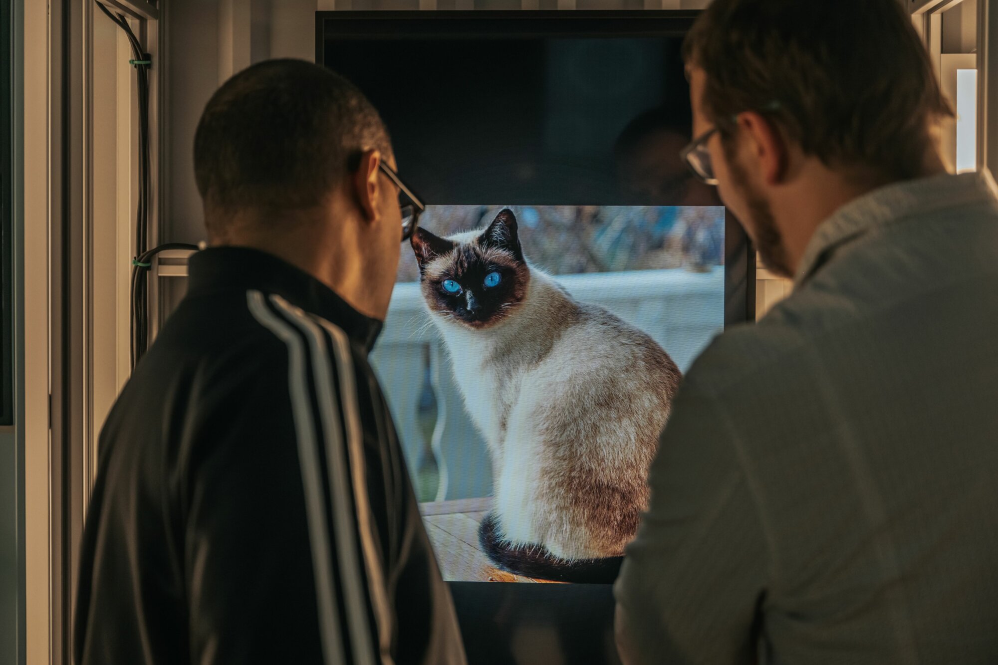 Bezoekers kijken naar een AI-beeld van een kat op de Expo AI!