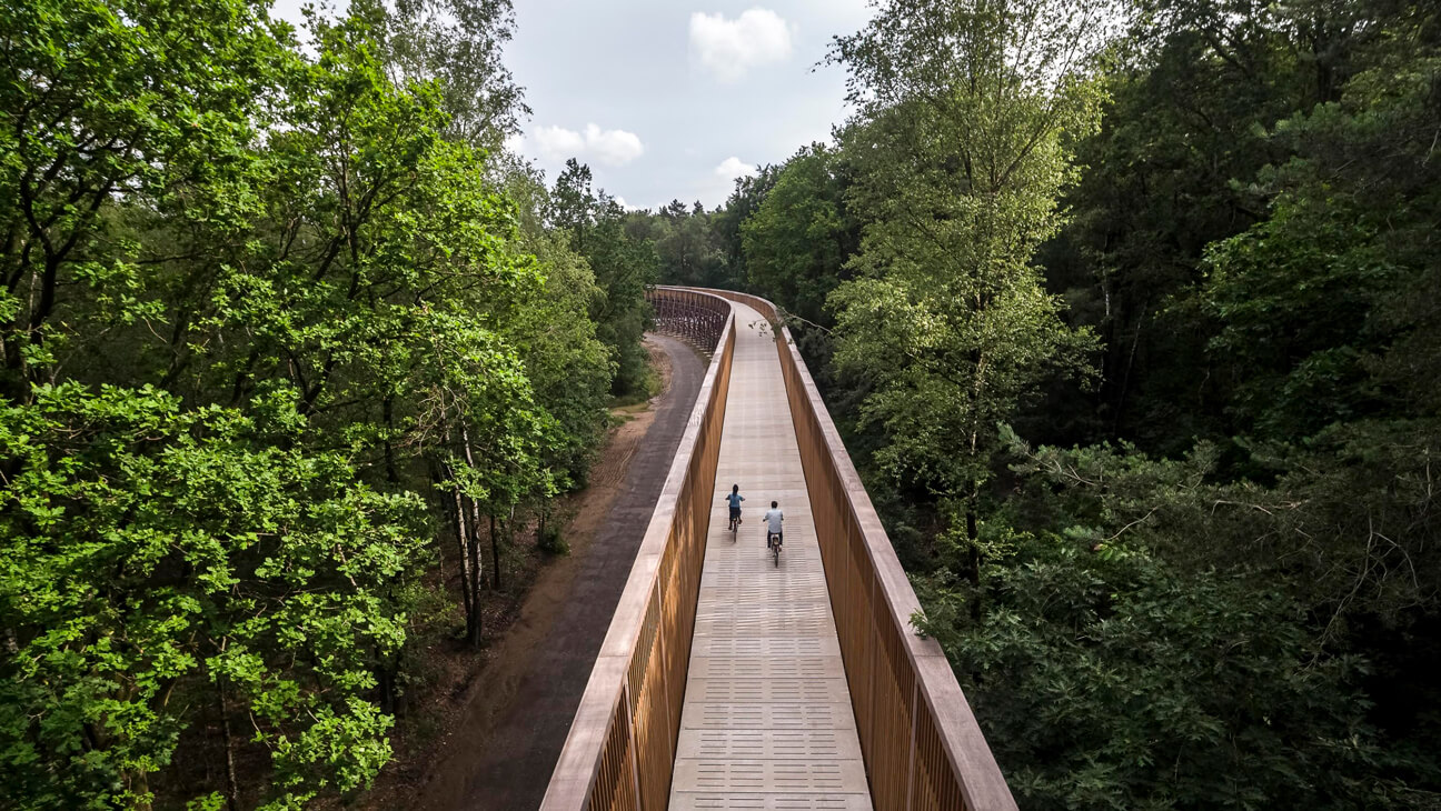 Fietsen door de heide Park Hoge Kempen